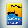 Radio Salinas