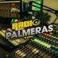 Radio Palmeras FM