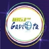 Radio Gaviota